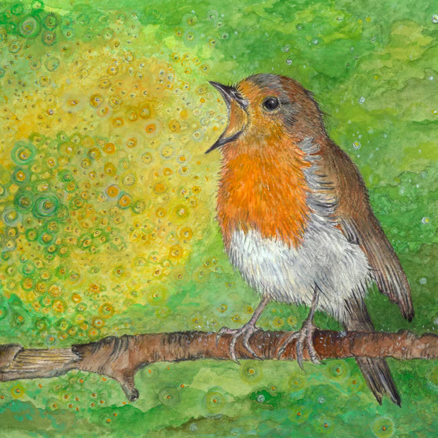 Robin