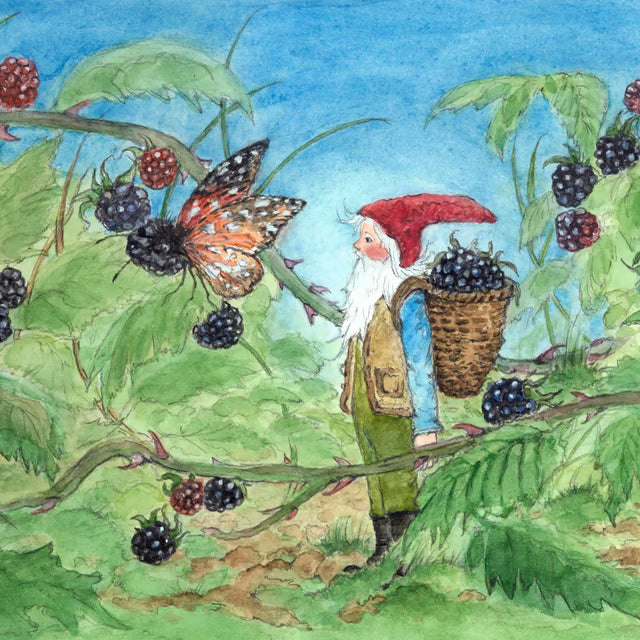 Brombeeren pflücken