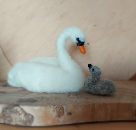 Schwan mit einem Zug