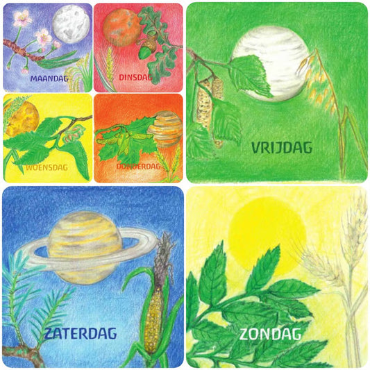 Dagen van de week