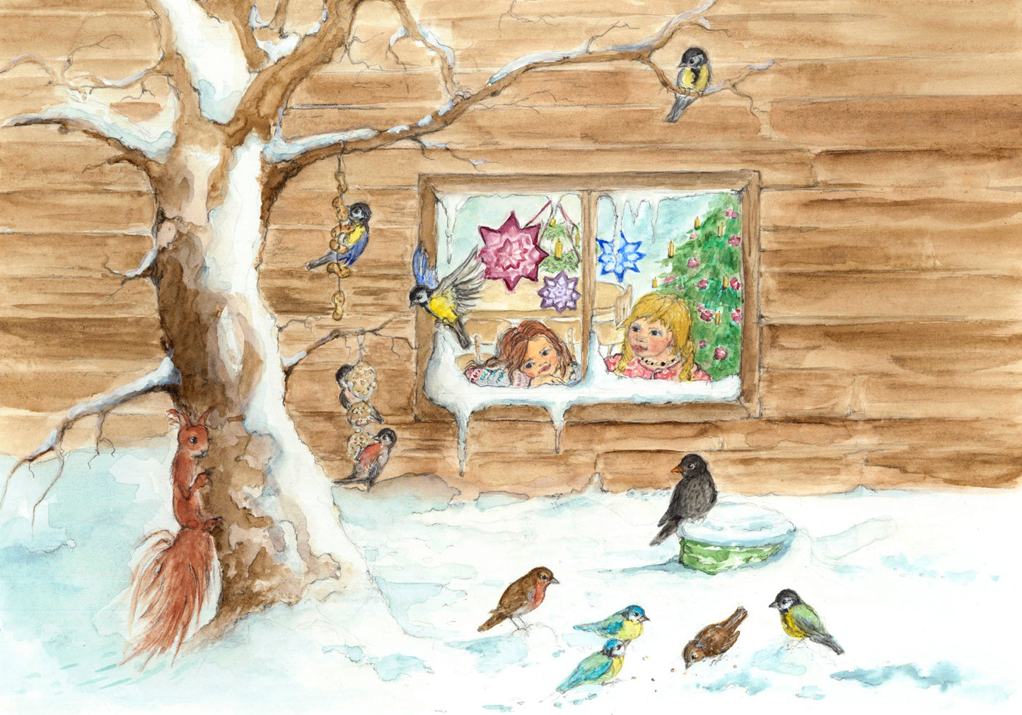 Vögel im Winter 