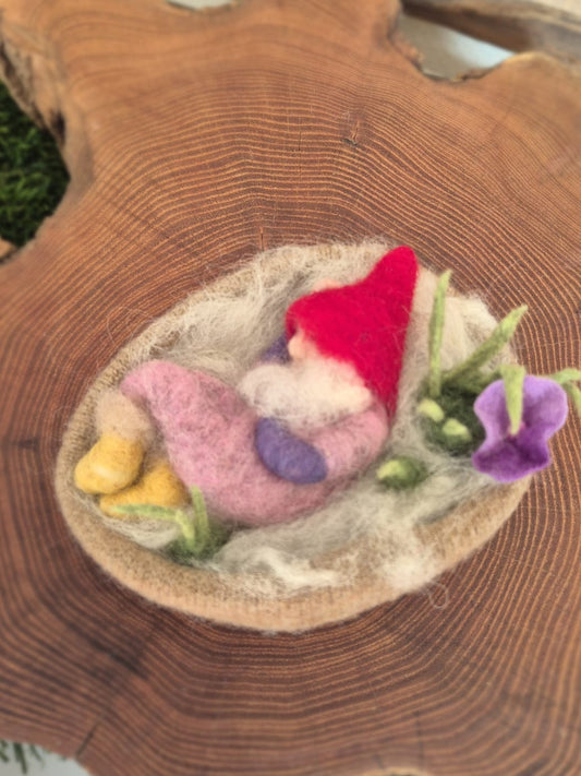 Kabouter in Nestje met Bloem