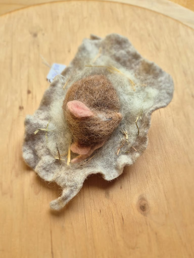 Schlafende Maus