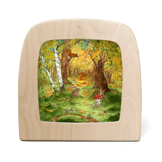 Herfst Bos