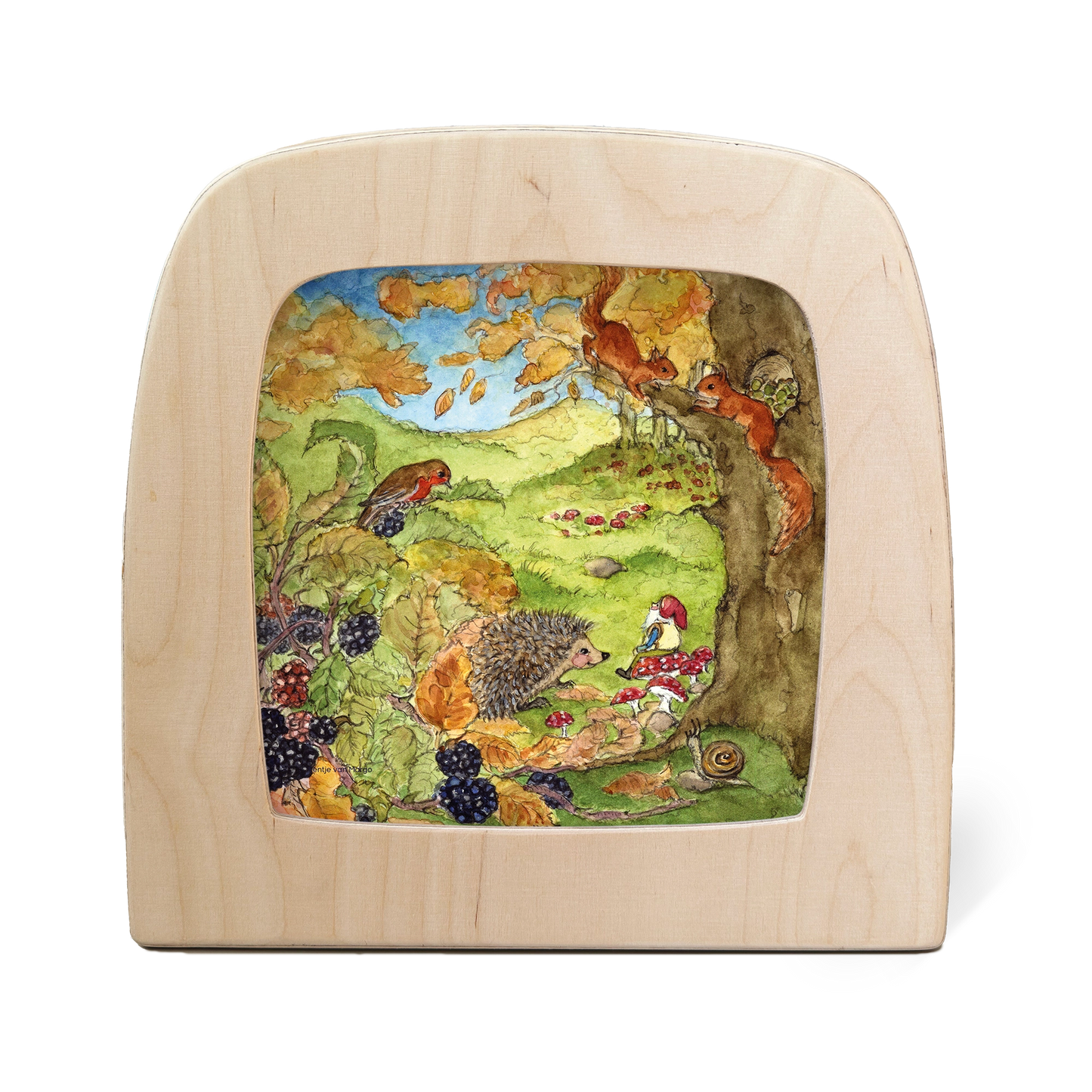 Herfst Kabouter