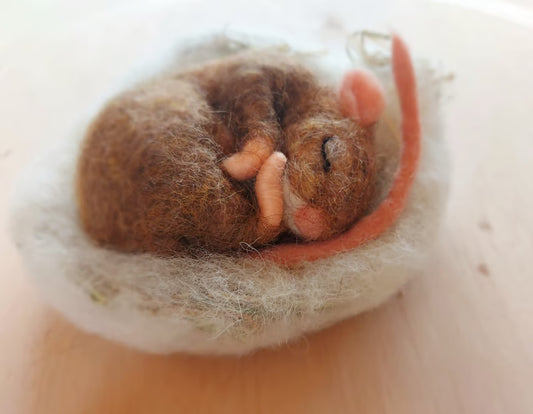 Schlafende Maus
