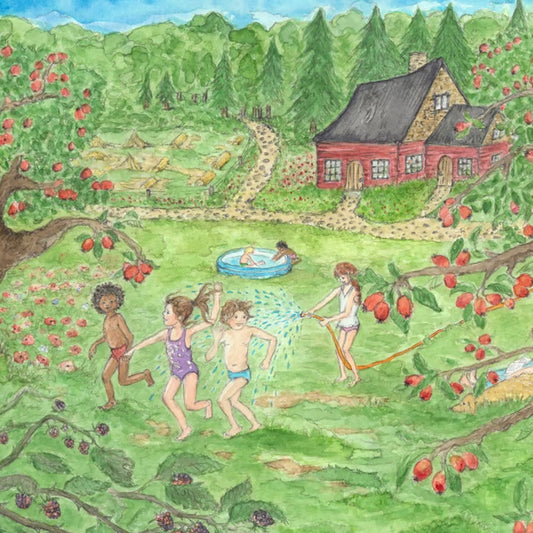Das rote Haus im Sommer