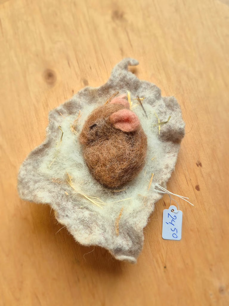 Schlafende Maus